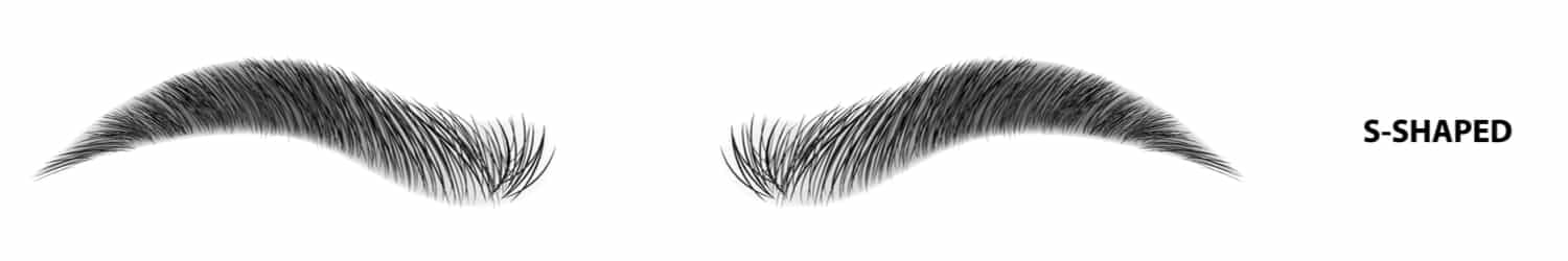 An illustration of s-shaped eyebrows